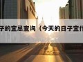 今天日子的宜忌查询（今天的日子宜什么忌什么）