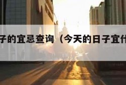 今天日子的宜忌查询（今天的日子宜什么忌什么）