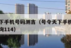 号令天下手机号码测吉（号令天下手机号码测吉凶查询114）