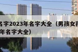 女孩名字2023年名字大全（男孩女孩名字2023年名字大全）