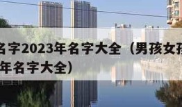 女孩名字2023年名字大全（男孩女孩名字2023年名字大全）