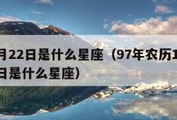 11月22日是什么星座（97年农历11月22日是什么星座）