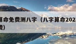 八字算命免费测八字（八字算命2024年运势免费）